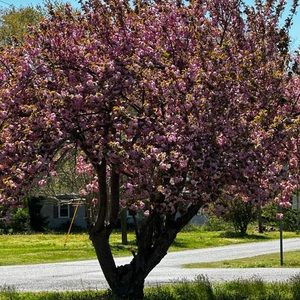 Meet your Posher, Erdene